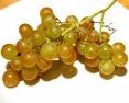 Muscat Is the Perfect Spring Wine