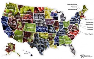 History of American Wines