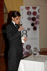 Wine Steward, Sommelier and Master Sommelier