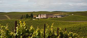 Exploring Carneros Pinot Noir