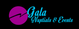 Great LGBTQ Wedding Planner