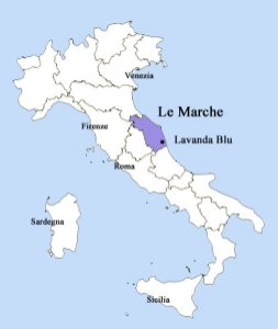 Exploring Two Boutique Wines of Marche
