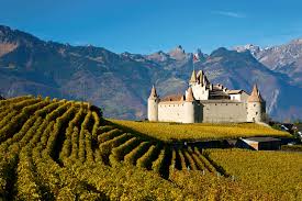 Summer Trips for Exploring New Wines
