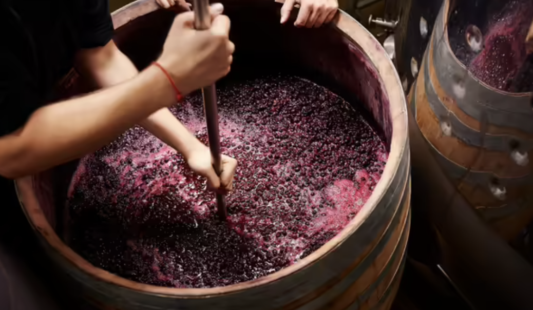 Winery Waste, or Pumace