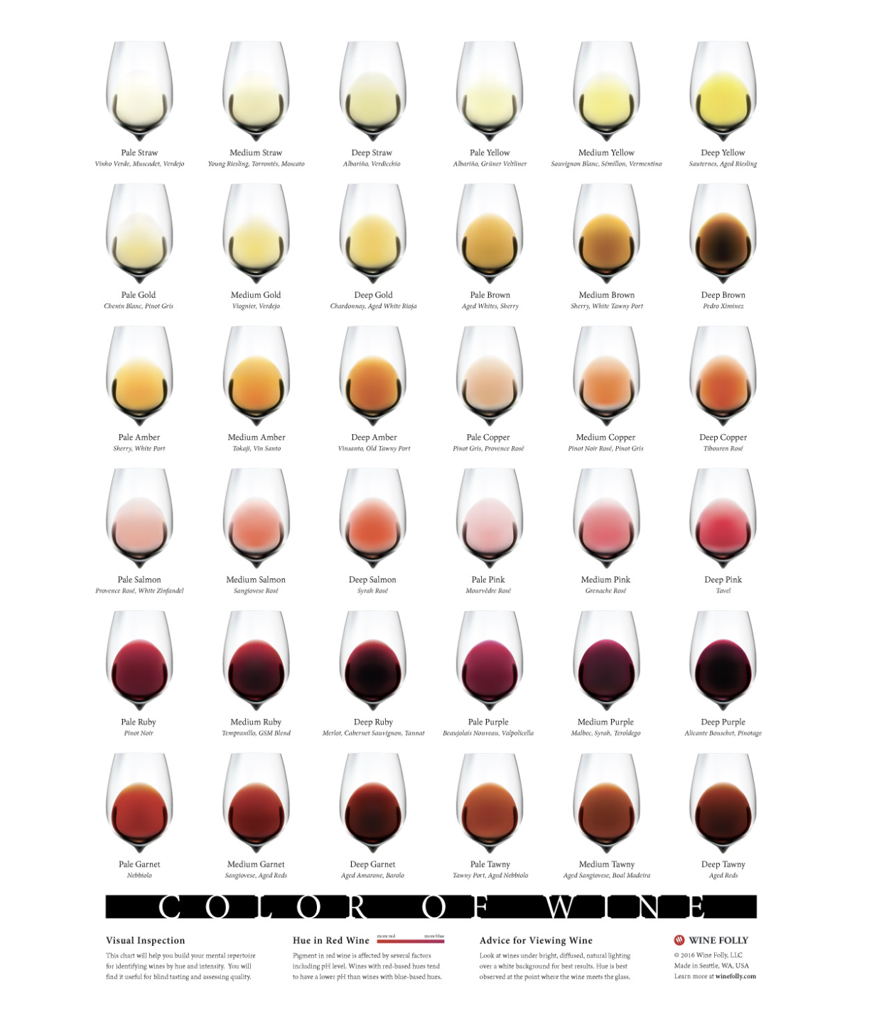 Wine Folly's Color Chart