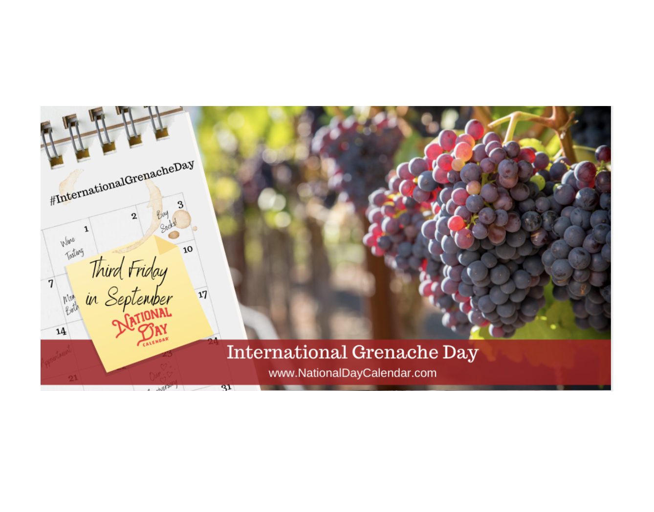 International Grenache Day