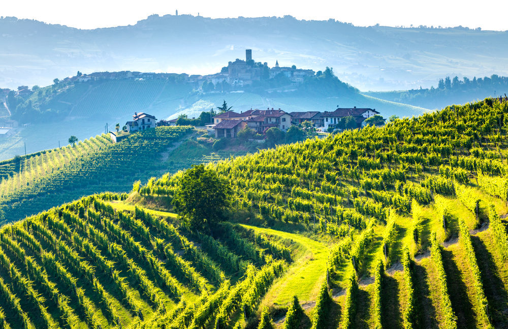 Brachetto